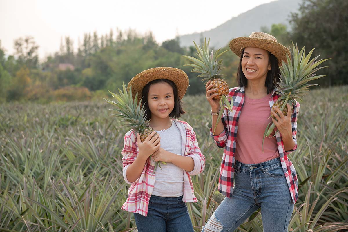 farmstay đẹp