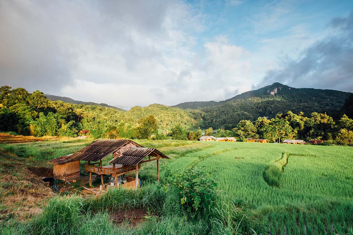 mô hình farmstay